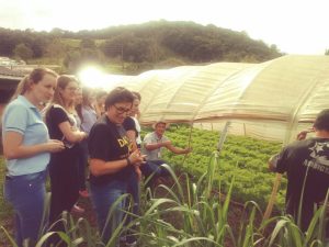 Read more about the article Colegiado de Nutricionistas faz visita a propriedades de Agricultura Familiar no Município de Herval D’Oeste