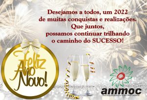 Read more about the article AMMOC deseja um Feliz e  abençoado  2022